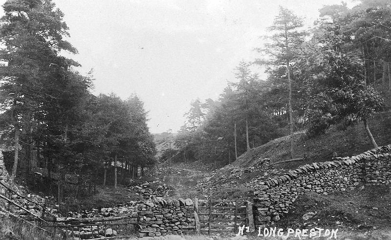 Beecrofts Plantation.jpg - Beecrofts Plantation in Bookil Gill was cut down C. 1913.  The picture was taken C. 1906. This is from a postcard, the reverse of which is shown in the next image.